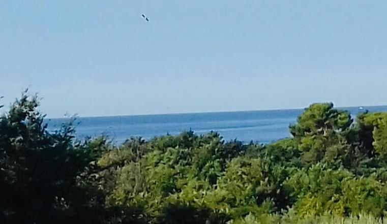 Appartamento Ivana,mali Maj Porec